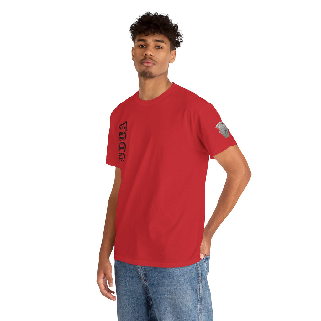 CDCA - Recovery Is Possible Tee — Inspirational Sober Support T-Shirt