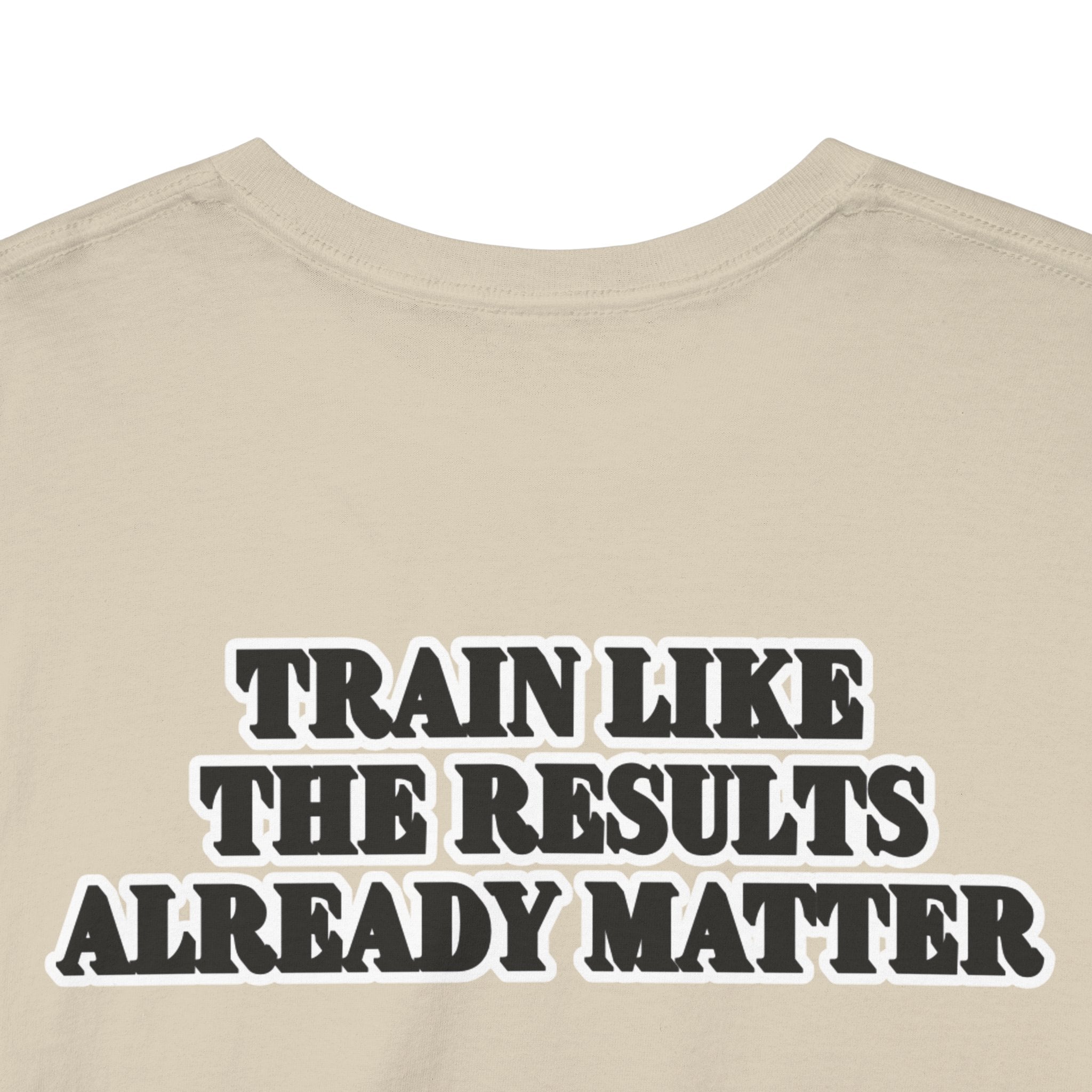 Motivational Fitness Tee — “Your Body Reflects Your Discipline” Training Shirt