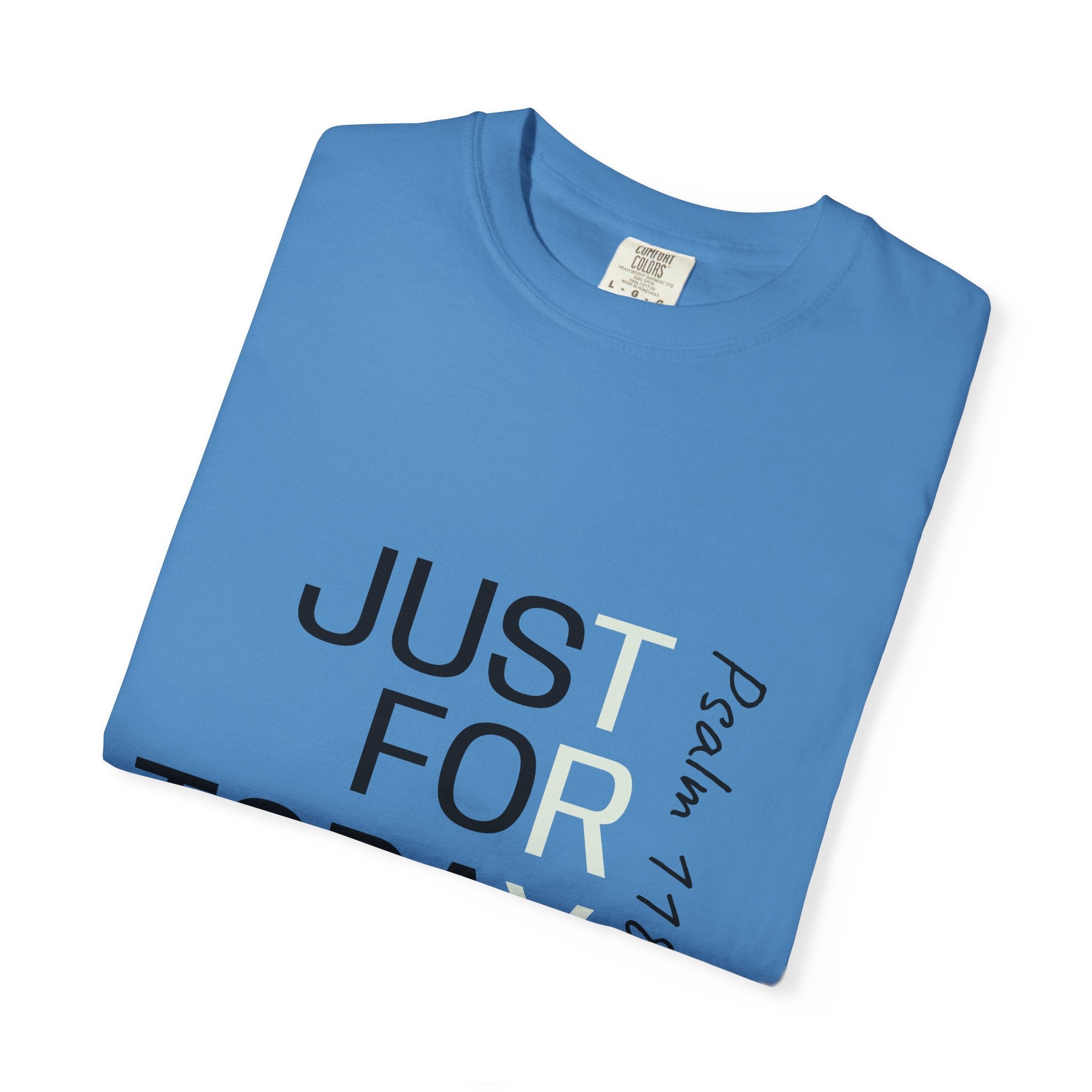 This Is The Day The Lord Has Made T-Shirt