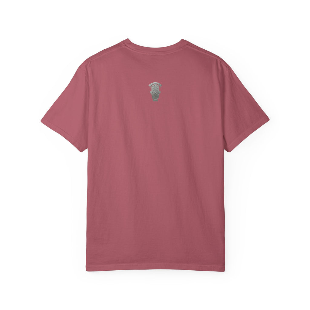 Transplant Warrior T-Shirt — I Fought, I Overcame Medical Survivor Tee