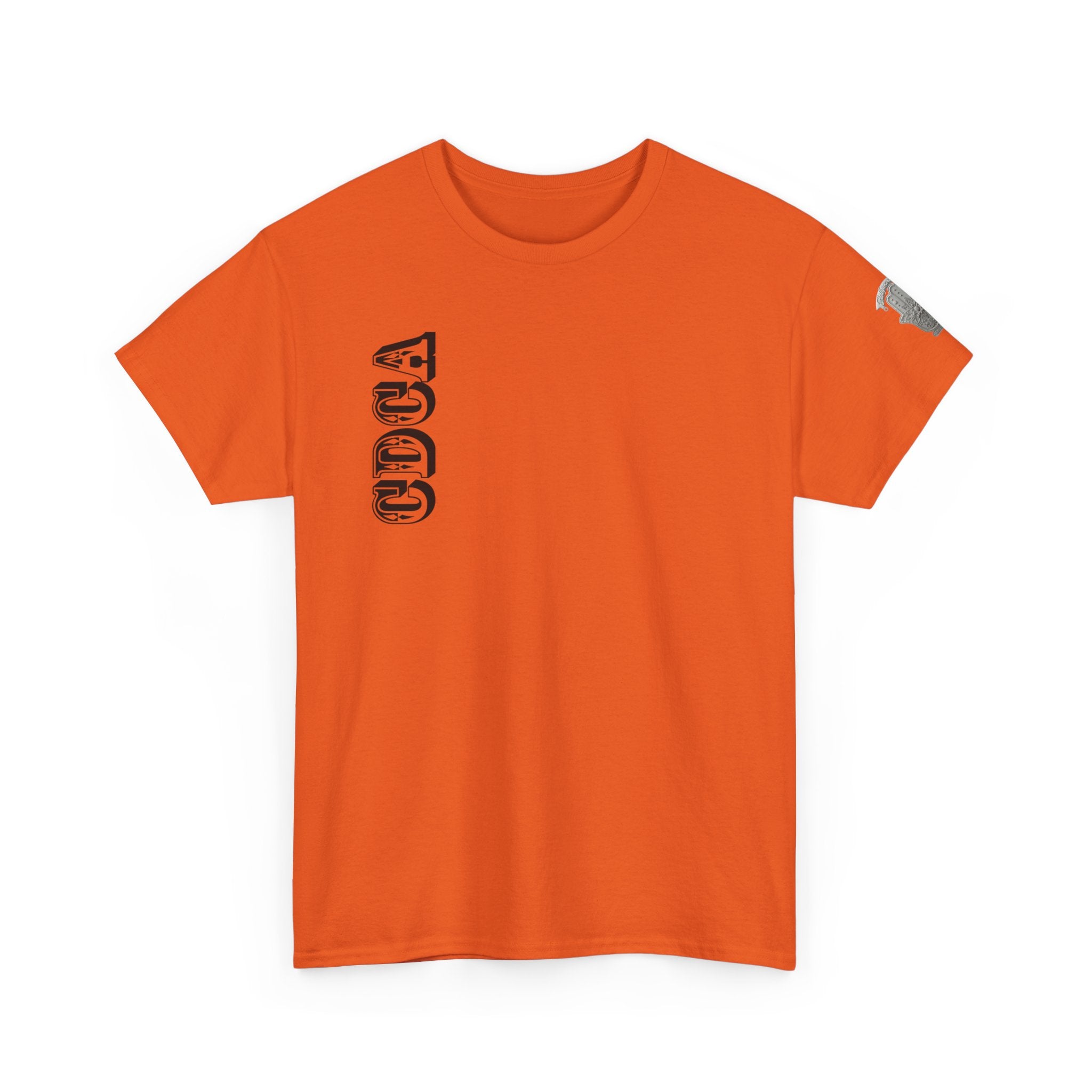 CDCA - Recovery Is Possible Tee — Inspirational Sober Support T-Shirt