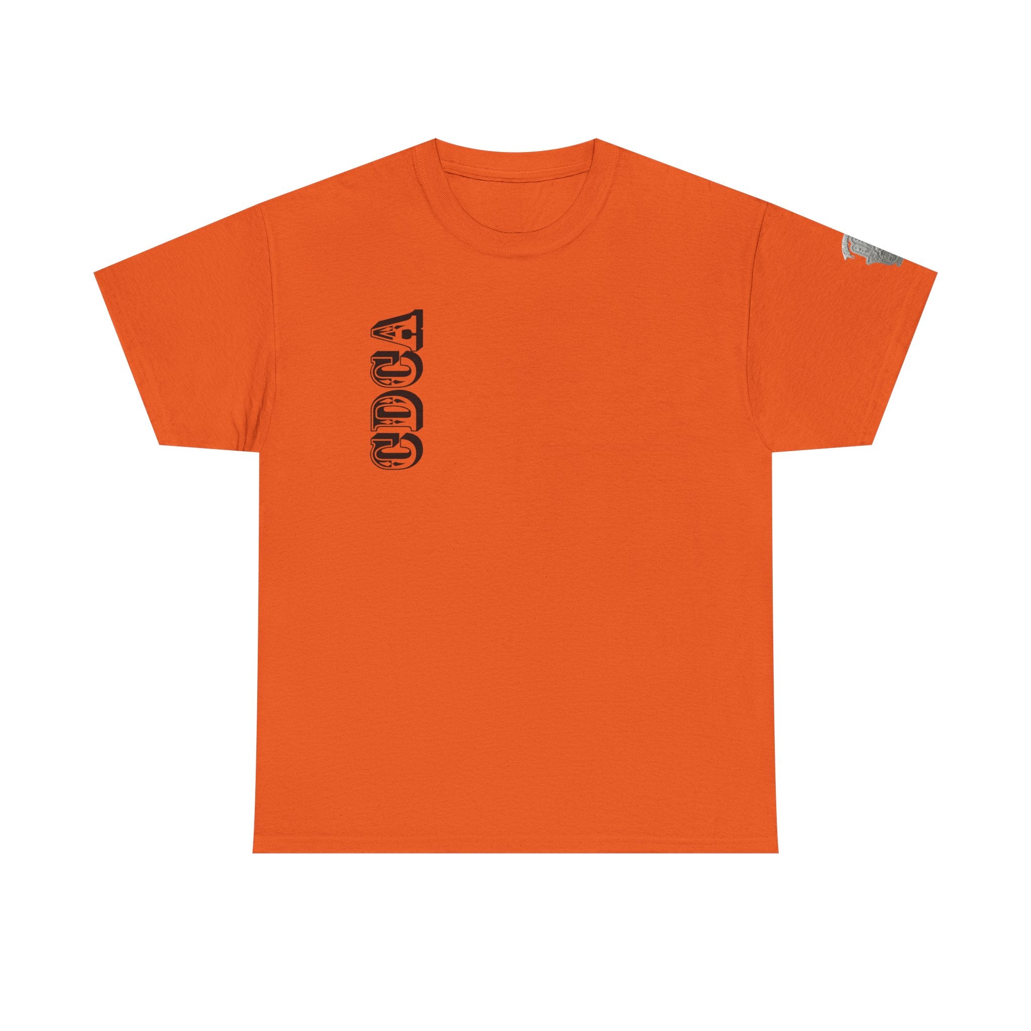 CDCA - Recovery Is Possible Tee — Inspirational Sober Support T-Shirt